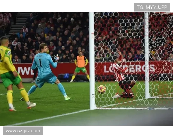 2018年布伦特福德对阵诺维奇的精彩比赛回顾与分析