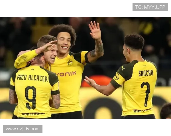 多特蒙德主场迎战霍芬海姆期待精彩对决与胜利之争