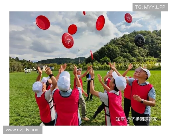 飞盘运动的魅力与挑战：深入探讨西安飞盘队的灵活性与团队合作精神